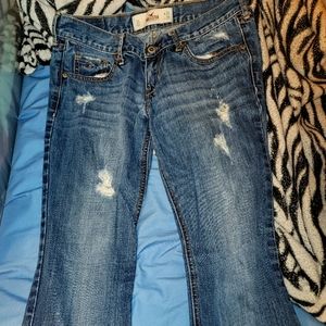 Hollister jeans